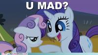 Pony Reactions