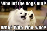 Dogs