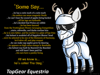 My Little Pony: Friendship is Magic