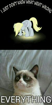 Grumpy Cat