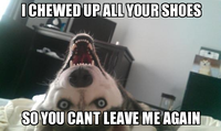 Overly Attached Girlfriend