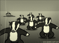 Badger Badger Badger