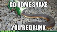 Go Home, You Are Drunk