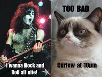 Grumpy Cat