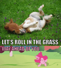 My Little Pony: Friendship is Magic