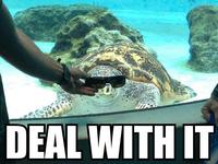Deal With It