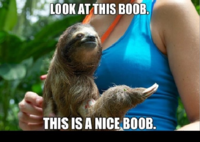 Sloths