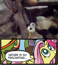 My Little Pony: Friendship is Magic