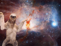 Sloths