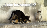 LOLcats