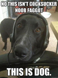 Yes, This is Dog