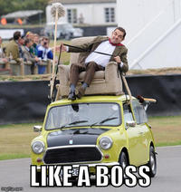 Like A Boss