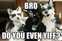 Furries