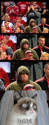 Grumpy Cat