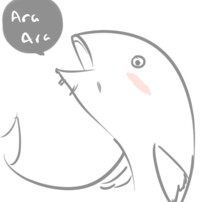 Sakurafish / Every Day Until You Like It