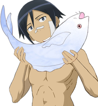Sakurafish / Every Day Until You Like It