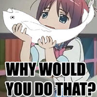 Sakurafish / Every Day Until You Like It