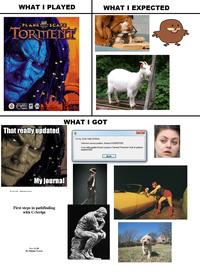 What I Watched / What I Expected / What I Got