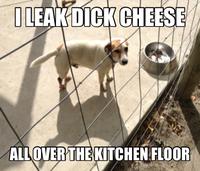 Dogshaming
