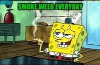 Smoke Weed Everyday