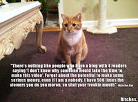 Mylo the Cat