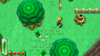 The Legend of Zelda