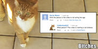 Mylo the Cat