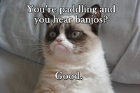 Grumpy Cat