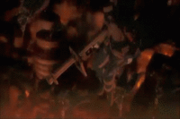 381.gif