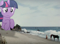My Little Pony: Friendship is Magic