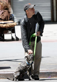 Dogs