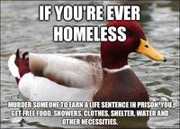 Actual Advice Mallard
