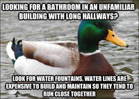 Actual Advice Mallard