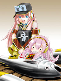 Tako Luka