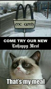 Grumpy Cat