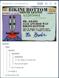SpongeBob SquarePants