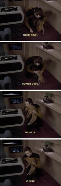 Cats
