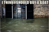 I Should Buy a Boat Cat