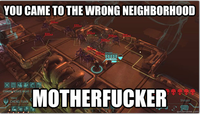 You Came to the Wrong Neighborhood