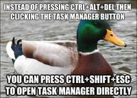 Actual Advice Mallard