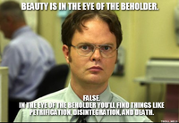 Schrute Facts