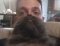 Cat Beards