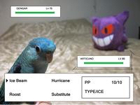 Pokemon