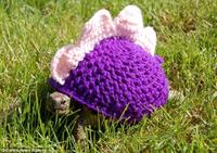 Cute Animals