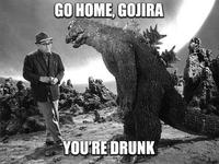 Go Home, You Are Drunk