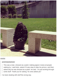 Tumblr