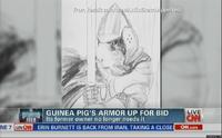 Guinea Pig Armor Charity Auction
