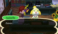 Animal Crossing