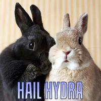 Hail Hydra