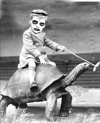 turtlezombie.jpg